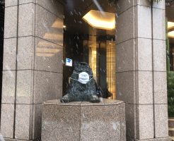 新春の書展巡りは雪の中