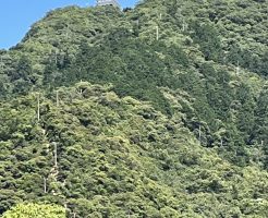 岐阜城にいってきました！