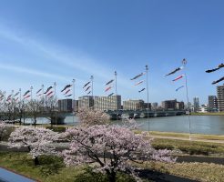 新潟で開催された刻雅会40周年記念展に行ってきました！！