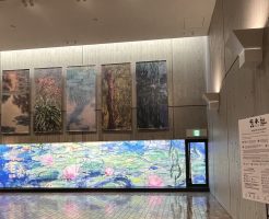 眼が見えなくなってからのモネの絵が観たくてモネ展に行ってきました！！